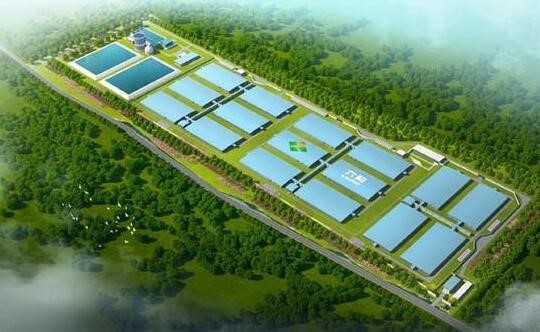 5fe2a40e39c5c.jpg 11.jpg